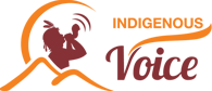 indigenous voice